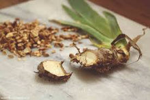 Load image into Gallery viewer, Orris Root (Iris germanica)