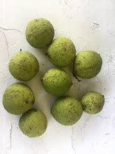 Load image into Gallery viewer, Black Walnut Hull