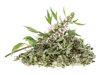Load image into Gallery viewer, Motherwort (Leonurus cardiaca)