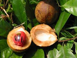 Nutmeg, Whole (Myristica fragrans)