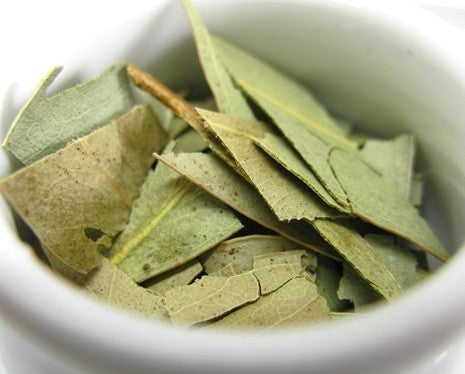 Dried Eucalyptus leaves