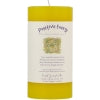 Positive Energy Reiki Herbal Pillar Candles 3x6